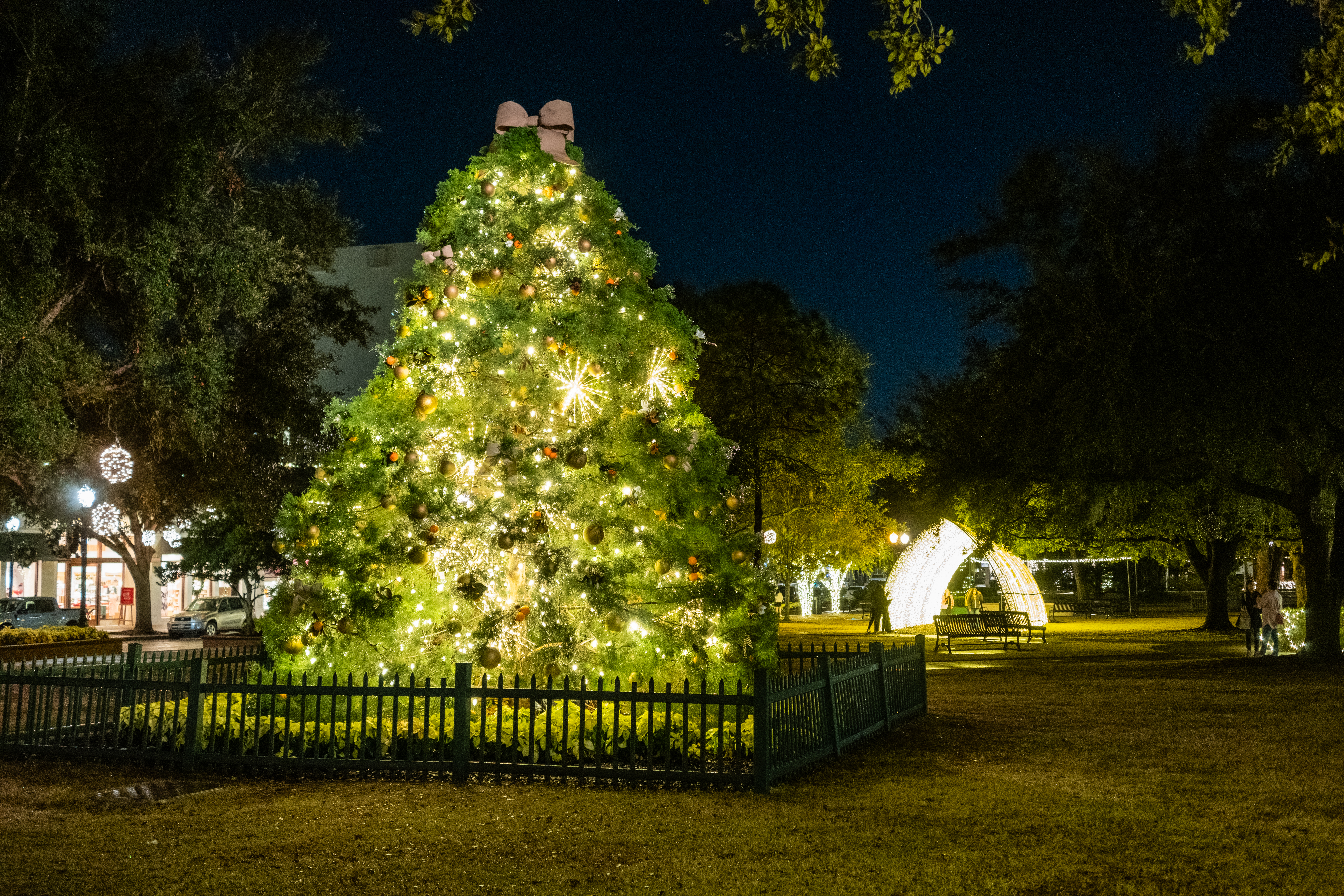 Christmas on Park